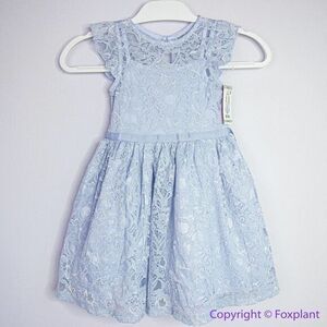 NEW Zunie Girl Periwinkle Lace Flutter Sleeve Dress lace light blue dress, 4/5